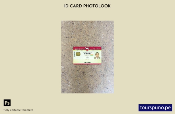 listo para imprimir plantilla FRONTAL de aspecto fotográfico de identificación d
